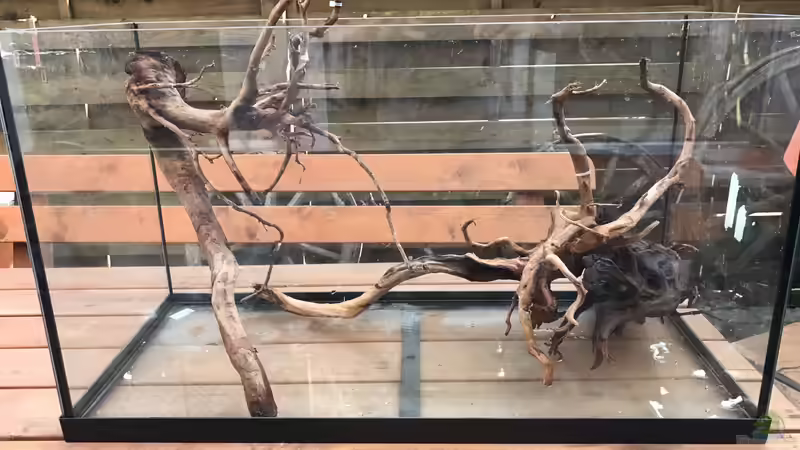 Versuchte Hardscape von Raven887 (19)