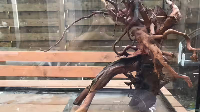 Versuchte Hardscapes von Raven887 (18)