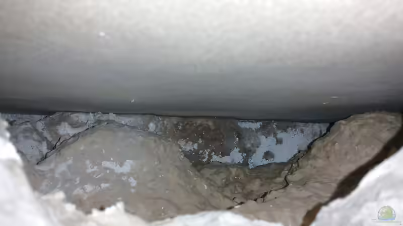 viel Platz zum Hinterschwimmen von wadde (22)