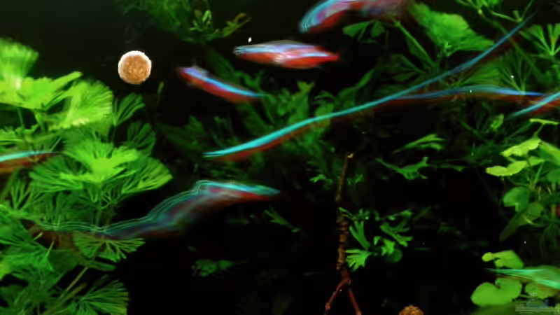 viel zu hohe belichtungszeit, aber irgendwie schön... von Andreas Mehner (2)