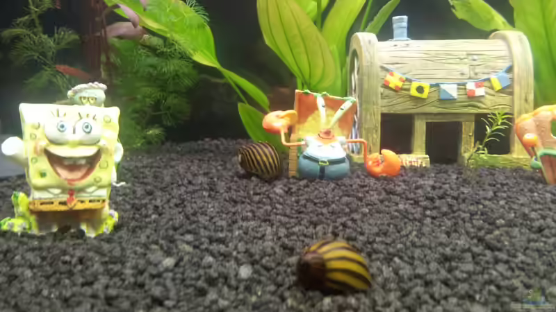 viele ´Garrys´... :-) von oliK (8)