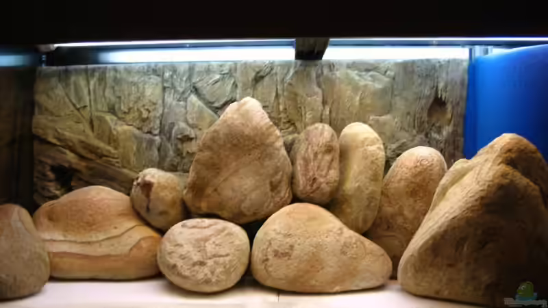 Viele Höhlen wurde zu viel Kopfzerbrechen von Kleener Stinker (5)