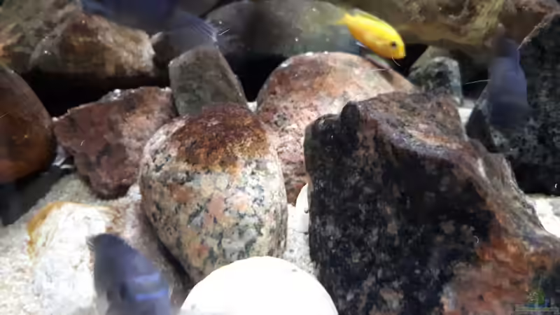 viele kleine Höhlen und Spalten aus Natursteinen von Miketsch (18)