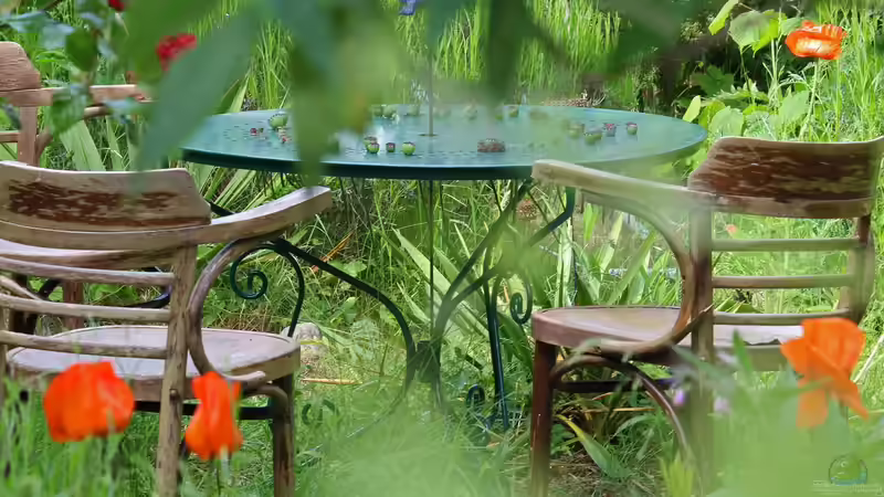 Vintage-Möbel für Terrasse und Garten - Warum der Retro-Look draußen gerade so angesagt ist