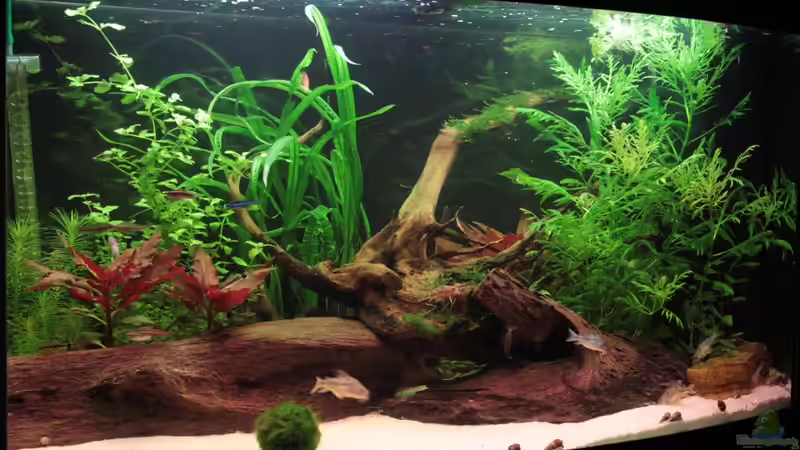 Vision 180 30.01.2012 von Stefan Hartl (1)