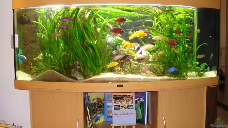 Vision 450 von Torsten Koepfinger (2)