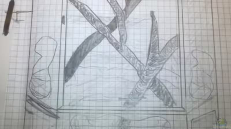 Vision von Betta Chris (23)