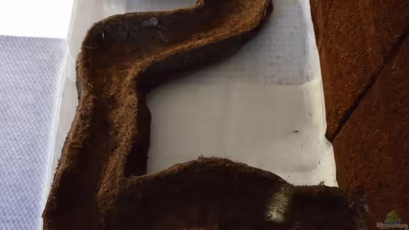 Vlies von Junglist (7)