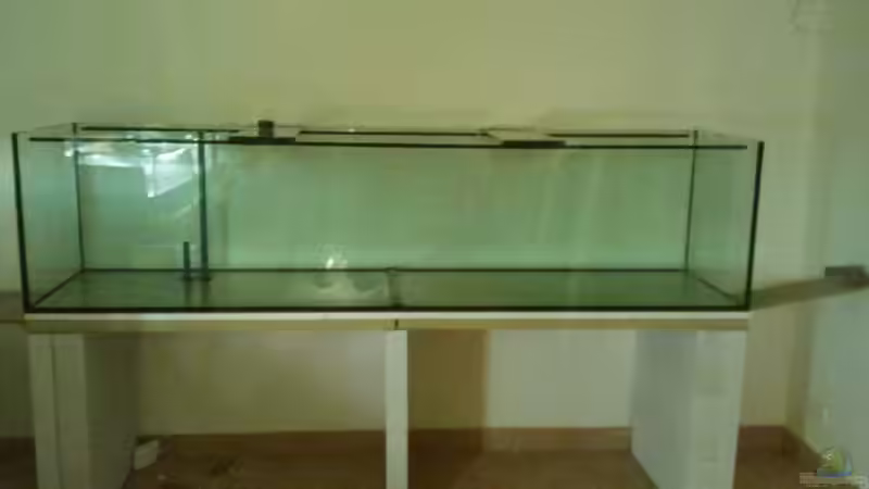 völlig leer von Crüxs (3)