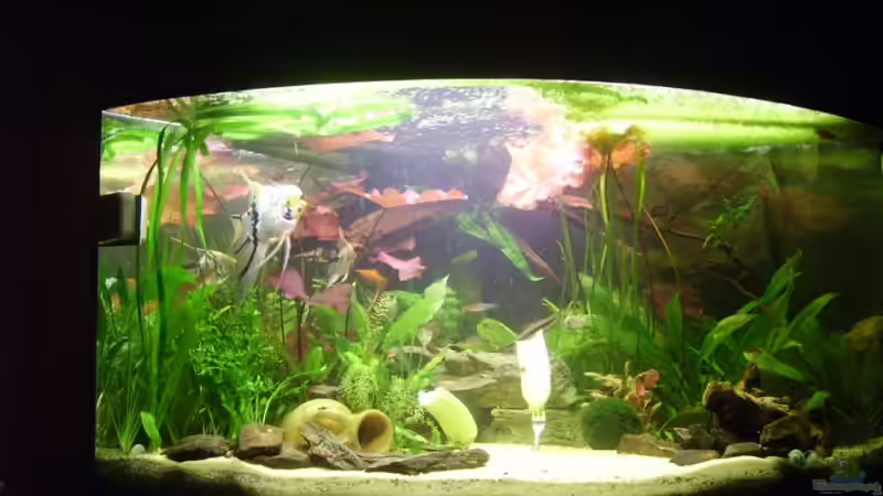 voll bellichtet von Sandra Stoffels (4)