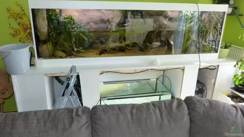 voll in Aktion, Teilwasserwechsel im April/14 von ~Marco~ (54)