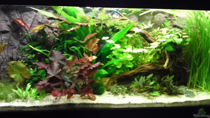 Vollansicht 11.07.2009 von Debby & Daniel (6)