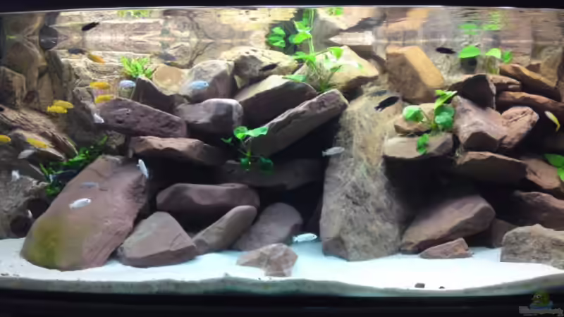 Vollansicht 13.09.09 von Debby & Daniel (9)