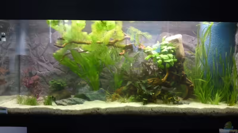 Vollansicht 19.05.2009 von Debby & Daniel (2)