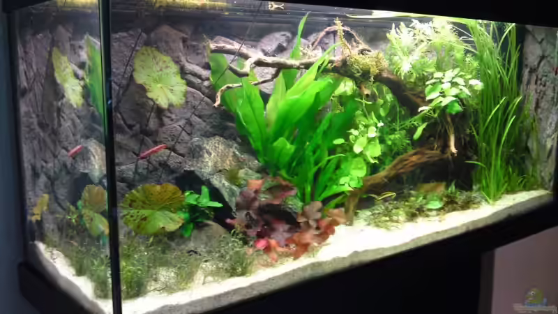 Vollansicht 20.06.2009 von Debby & Daniel (3)