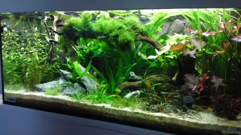 Vollansicht 25.10.2009 von Debby & Daniel (1)