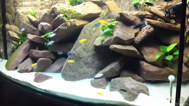 Vollansicht 26.09.09 von Debby & Daniel (10)