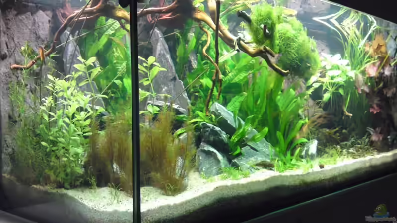 Vollansicht 26.09.09 von Debby & Daniel (11)