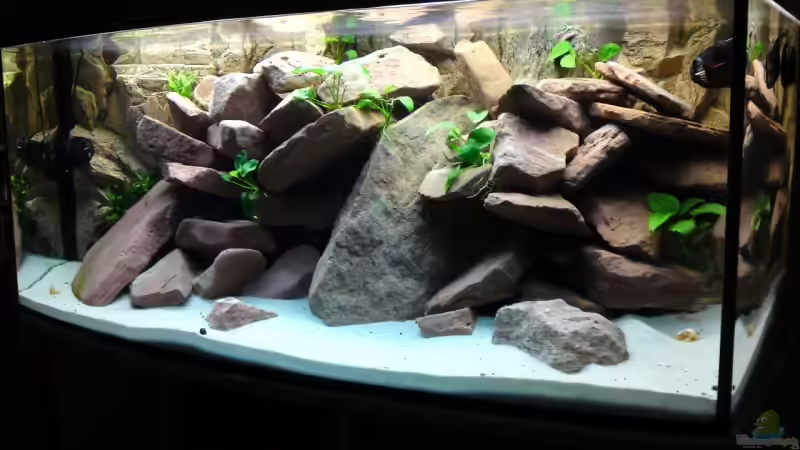 Vollansicht 30.08.09 von Debby & Daniel (8)