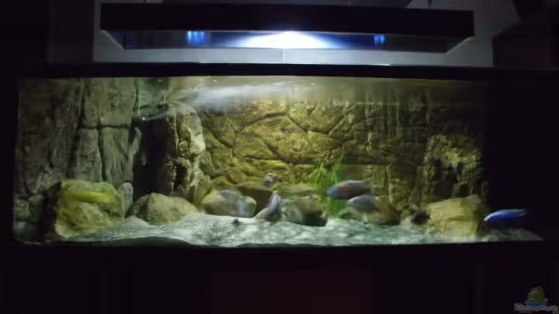 Vollansicht 5.11.2013 ohne blaue LED von Noah (11)