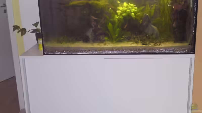 Vollansicht Aq-Kombi 13.09.09 von Debby & Daniel (9)