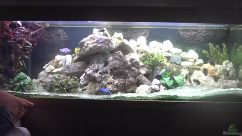 Vollansicht des Aquariums mit Unterschrank und Abdeckung Vollansicht des Aquariums mit Unterschrank und Abdeckung