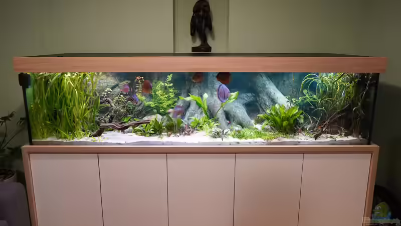 Vollansicht von Bartleby (1)