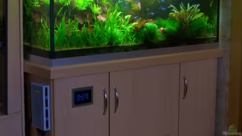 Vollansicht von Johann Fellner (7)