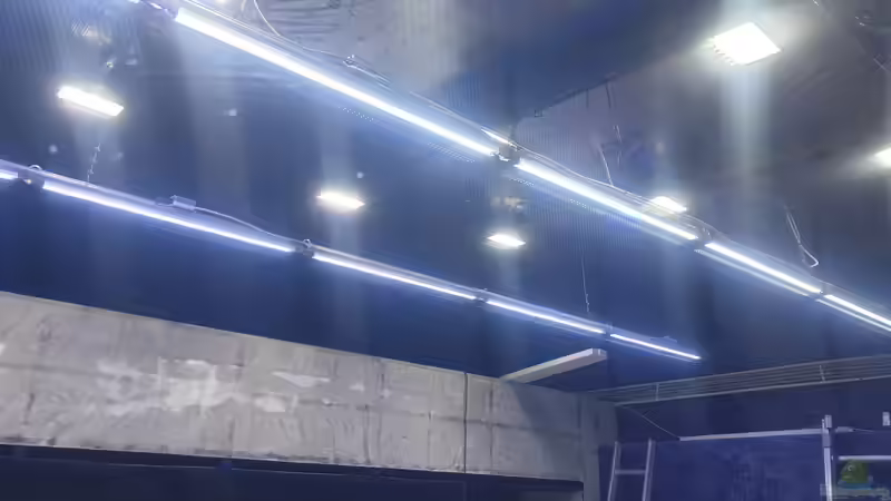 Volle Beleuchtung  von Fido86 (5)