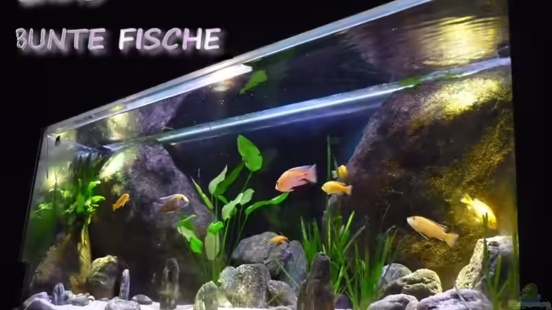 volle Beleuchtung von Chris_R. (5)