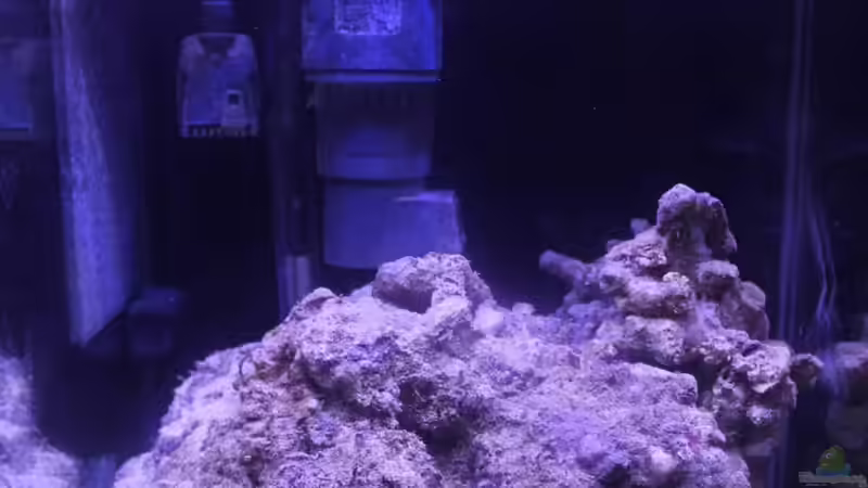 Volle beleuchtung von chrisi01 (19)