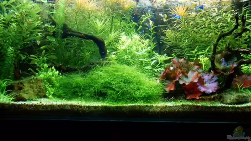 Volle Beleuchtung von zaffa (1)