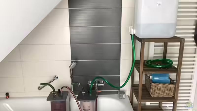 Vollentsalzer bei der Regeneration von stroelly (38)