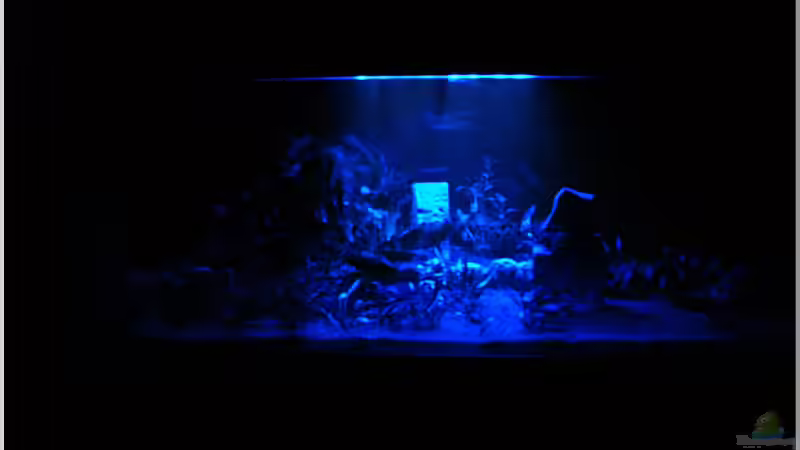 Vollmond :-) von Christian Zwick (31)