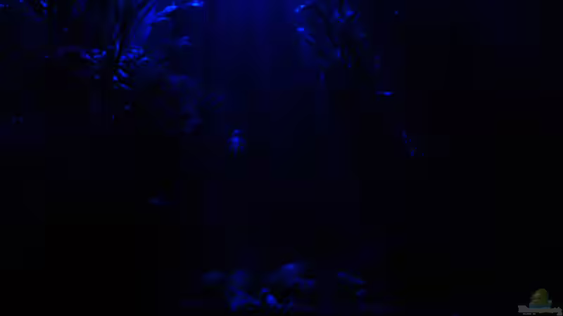 Vollmond von Chili (15)