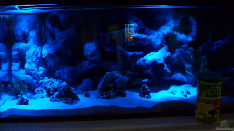 Vollmond von JAMES-JONES (3)