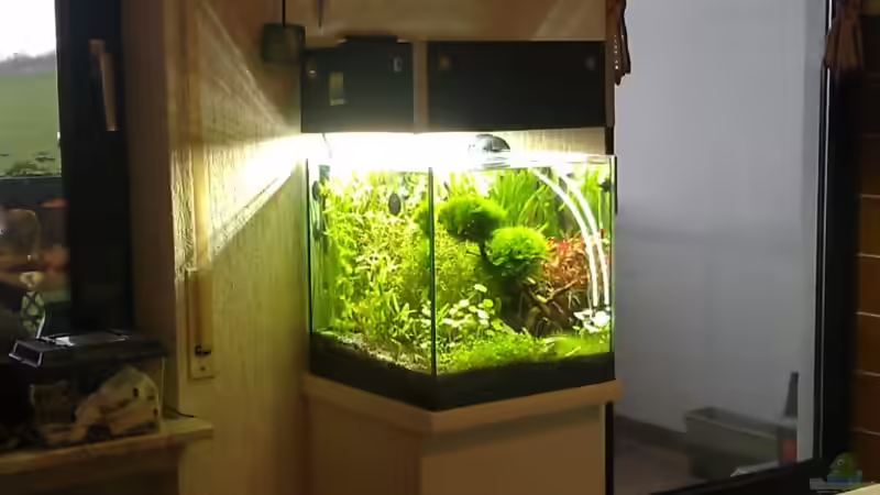 Volume II von El Hein (4)