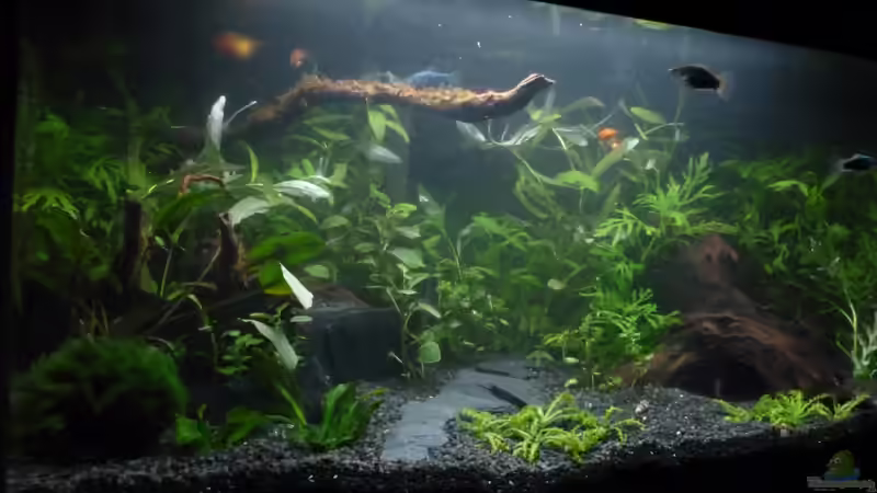 vom 12.05.2013 von AquaNRW (1)