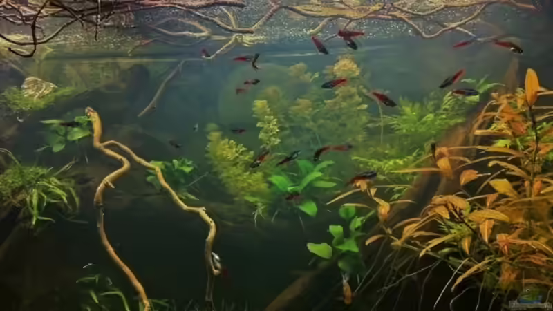 vom 20.04.2013 von Mike Reimann (4)