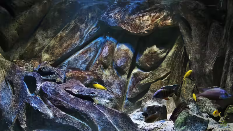 vom 22.11.2014 von Marco O. (4)