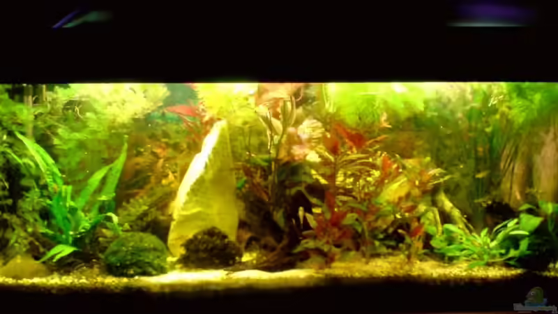 Vom 26.10.2007 von Achim Dengler (12)