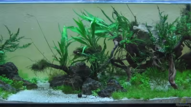 vom 28. Juli 2011 von Martin Slo. (2)