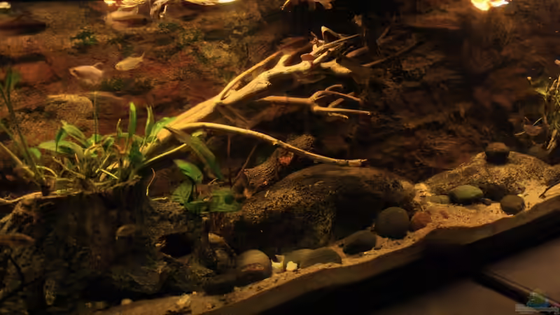 Vom anderem Schreibtisch aus gesehen von Florian Bandhauer (5)