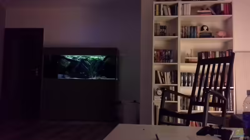 vom Sofa  von Dominik Wexenberger (2)