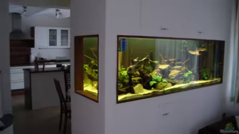 Vom Wohnzimmer  von Markus Josef (4)