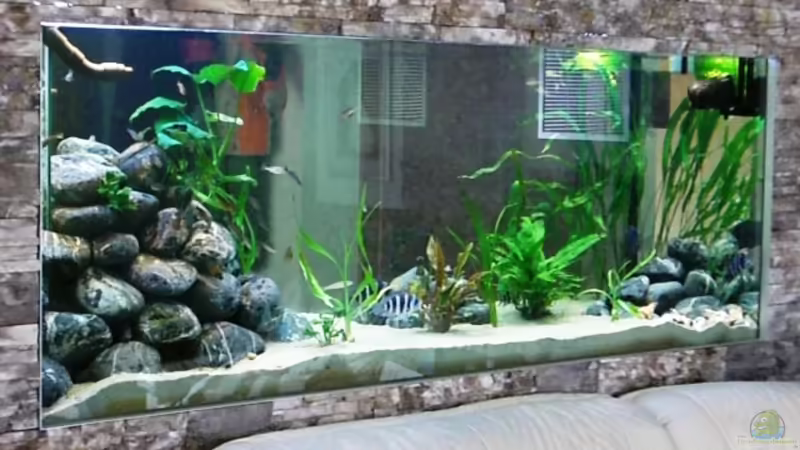 Vom Wohnzimmer gesehen. von Hermann Süss (1)