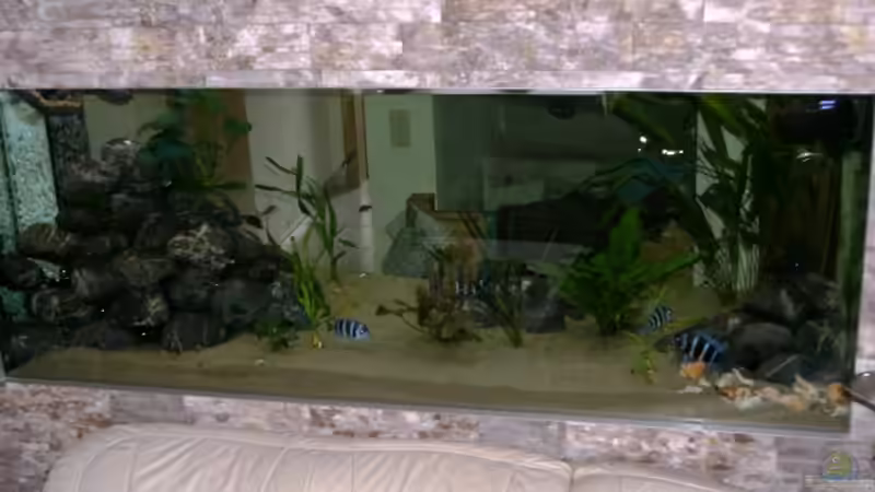 vom Wohnzimmer von Hermann Süss (2)