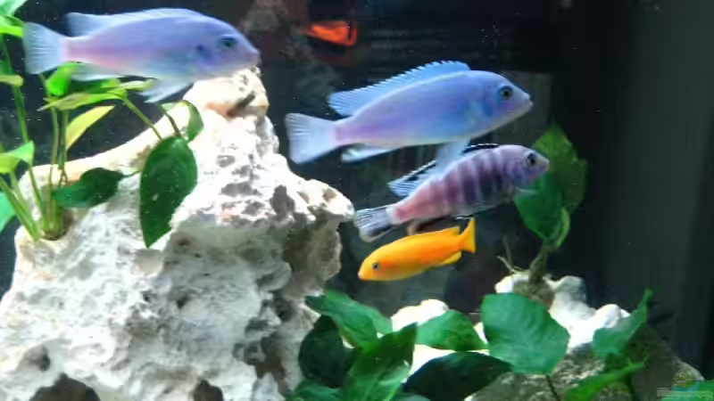 Von allem etwas von Meike_R (34)