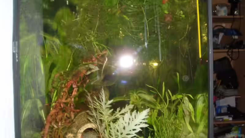 von der anderen seite von Andre Schumacher (4)