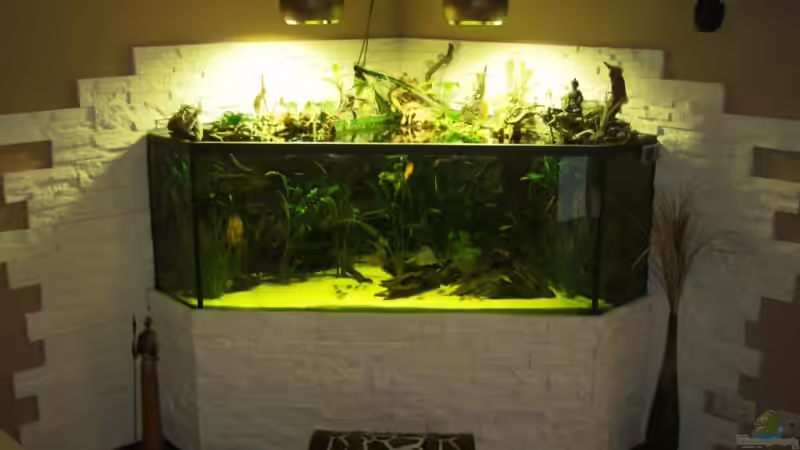 von der Couch aus von Erich Beer (1)